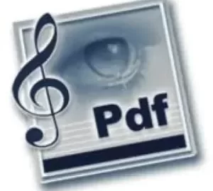 PDFtoMusic Pro key 300x290 1